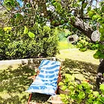 Trulli And Pool - I Cactus Prázdninový dům Martina Franca