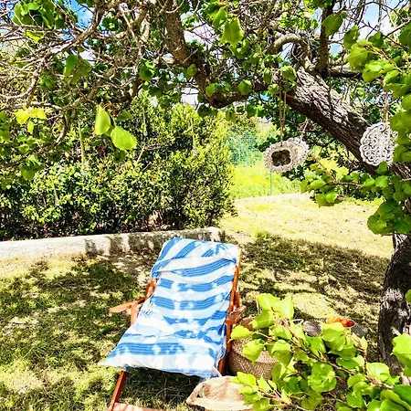 Trulli And Pool - I Cactus Prázdninový dům Martina Franca